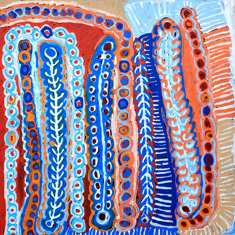 Aboriginal Artwork by Murdie Nampijinpa Morris, Malikijarra Jukurrpa, 91x91cm