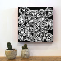 Aboriginal Artwork by Amelia Napaljarri Brown, Pikilyi Jukurrpa (Dreaming), 30x30cm