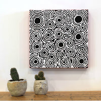 Aboriginal Artwork by Kylie Napangardi Williams, Yarla Jukurrpa (Bush Potato Dreaming) - Cockatoo Creek, 30x30cm