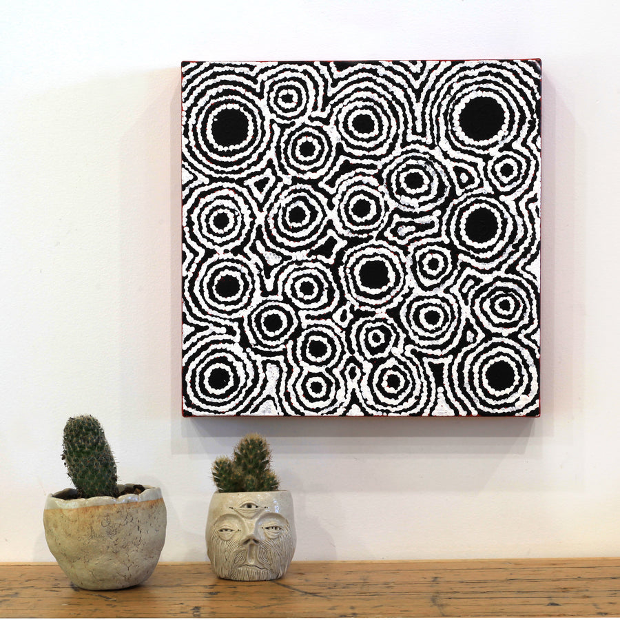 Aboriginal Artwork by Kylie Napangardi Williams, Yarla Jukurrpa (Bush Potato Dreaming) - Cockatoo Creek, 30x30cm