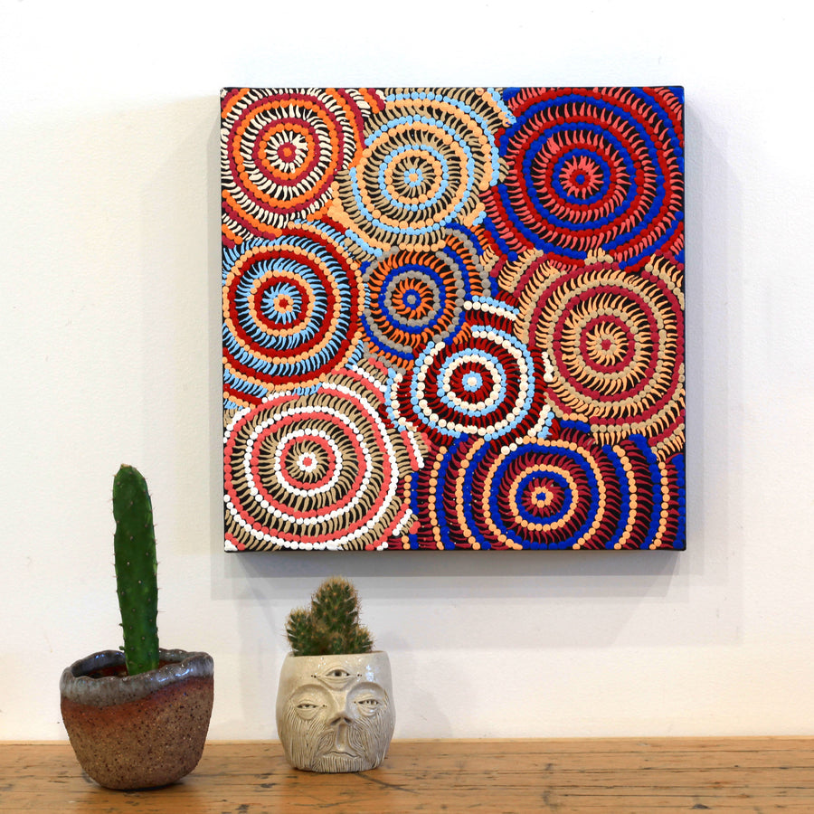 Aboriginal Artwork by Jerusha Nungarrayi Morris, Lukarrara Jukurrpa (Desert Fringe-rush Seed Dreaming), 30x30cm