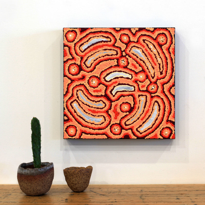 Aboriginal Artwork by Jenny Nangala Watson, Pirlarla Jukurrpa (Dogwood Tree Bean Dreaming), 30x30cm