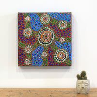 Aboriginal Artwork by Jennifer Napaljarri Lewis, Lukarrara Jukurrpa, 30x30cm