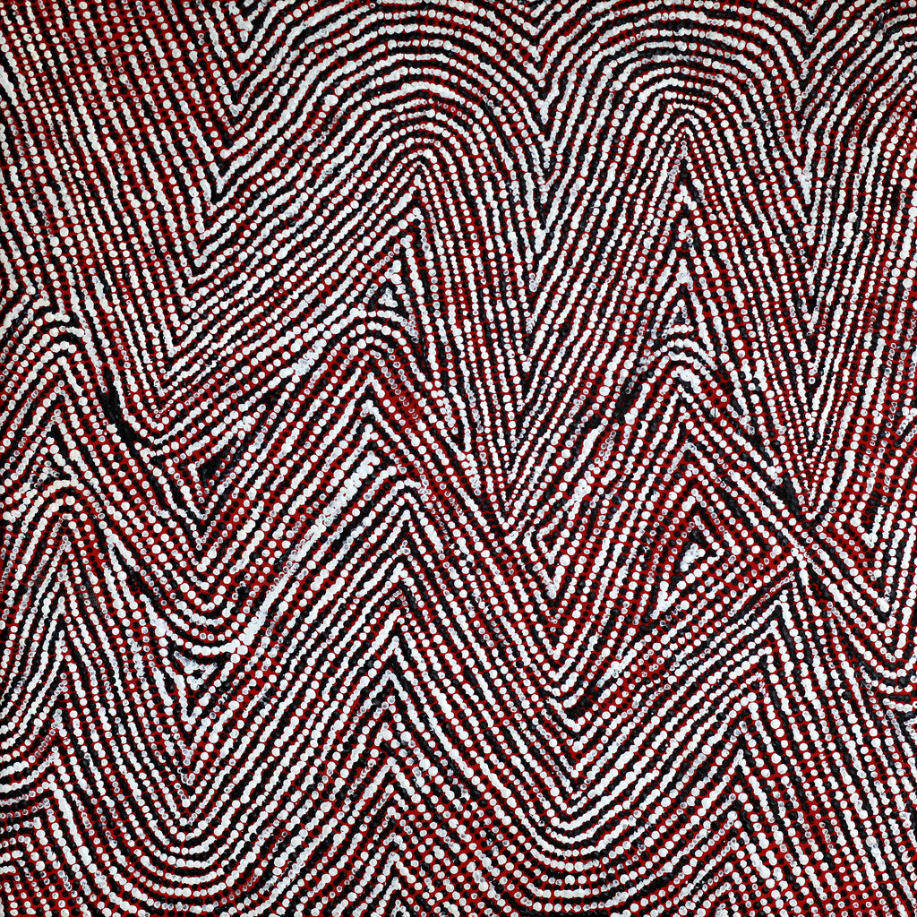 Aboriginal Artwork by Sarah Napurrurla Leo, Lukarrara Jukurrpa, 46x46cm - ART ARK®
