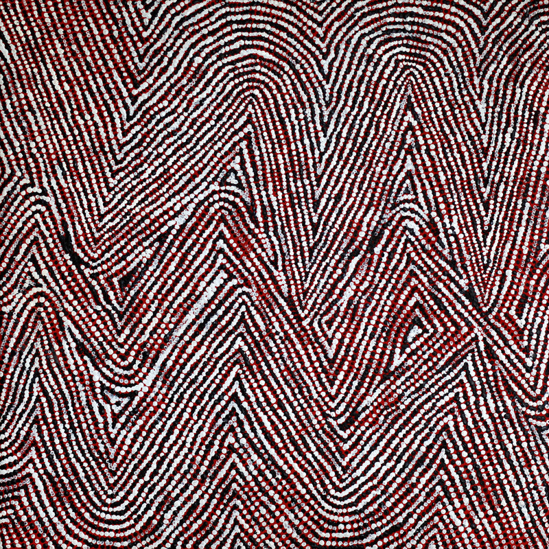Aboriginal Artwork by Sarah Napurrurla Leo, Lukarrara Jukurrpa, 46x46cm