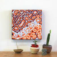 Aboriginal Artwork by Magda Nakamarra Curtis, Lappi Lappi Jukurrpa, 30x30cm