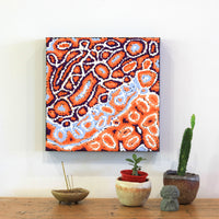 Aboriginal Art by Magda Nakamarra Curtis, Lappi Lappi Jukurrpa, 30x30cm - ART ARK®