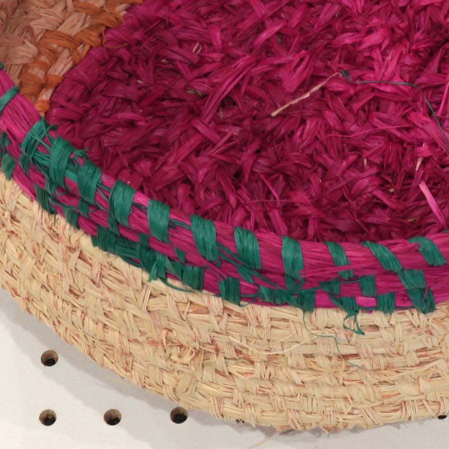 Aboriginal Artwork by Julie Yangki, Mimili - Tjanpi Basket