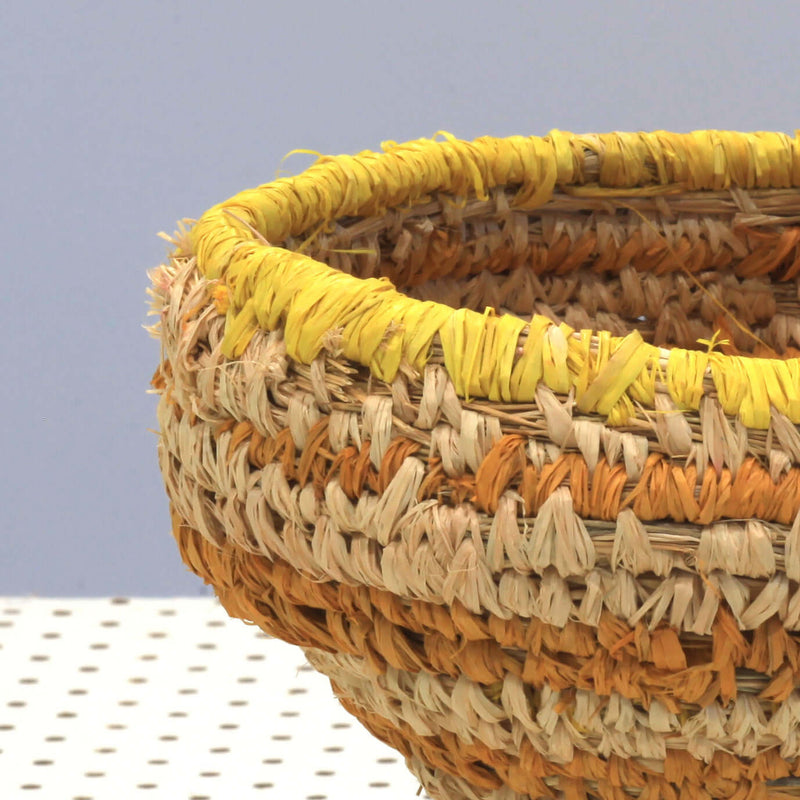 Aboriginal Artwork by Anne Dixon, Watarru - Tjanpi Basket