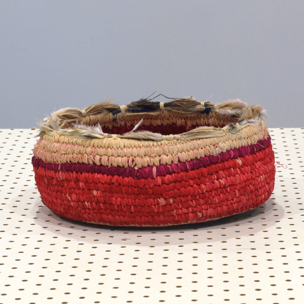 Aboriginal Art by Priscilla Singer, Iwantja - Tjanpi Basket - ART ARK®