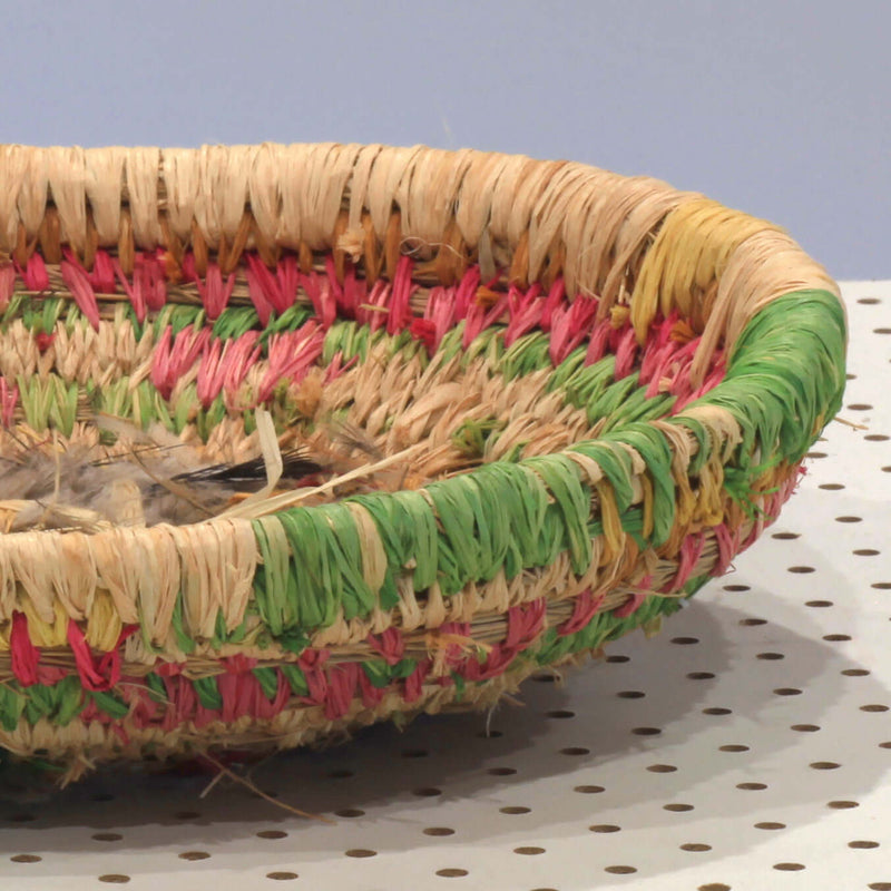 Aboriginal Artwork by Agnes Woods, Titree - Tjanpi Basket