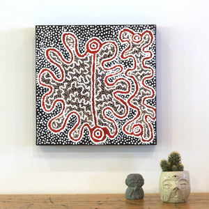 Aboriginal Artwork by Felicity Nampijinpa Robertson, Ngapa Jukurrpa (Water Dreaming)  -  Puyurru, 30x30cm - ART ARK®