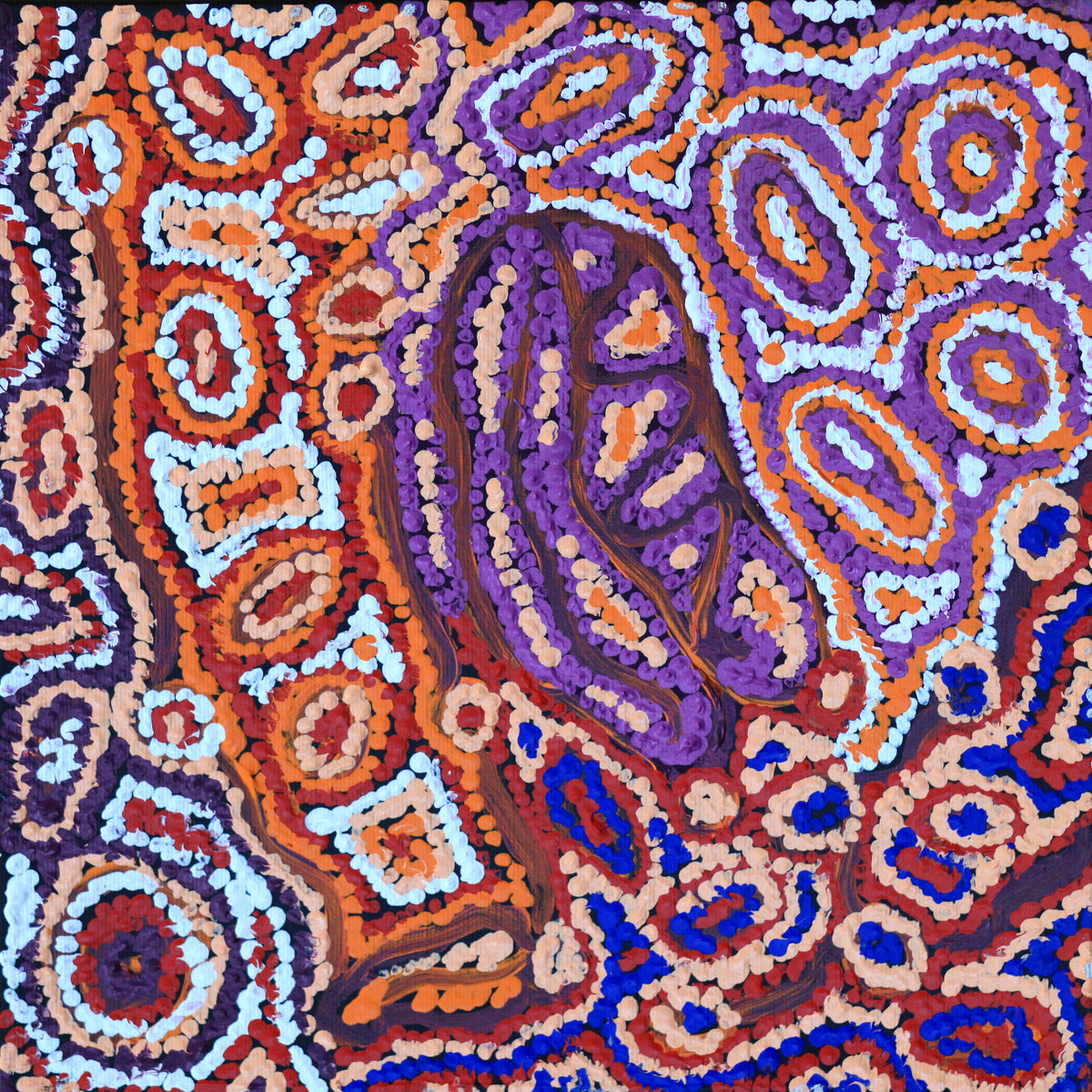 Aboriginal Art by Magda Nakamarra Curtis, Lappi Lappi Jukurrpa, 30x30cm - ART ARK®