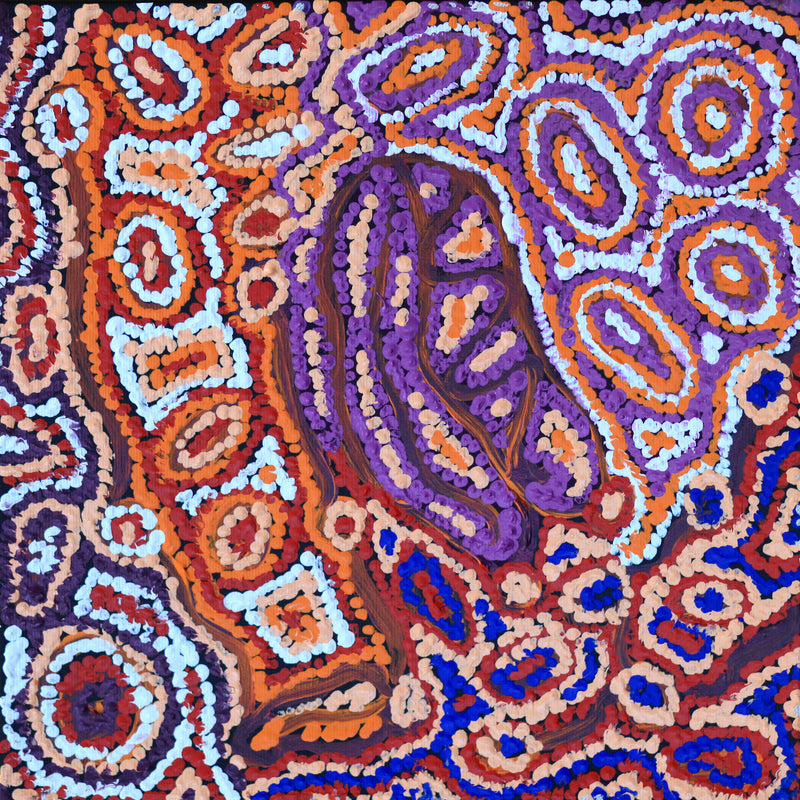 Aboriginal Artwork by Magda Nakamarra Curtis, Lappi Lappi Jukurrpa, 30x30cm