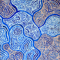 Aboriginal Artwork by Kirsty Anne Napanangka Brown ,Mina Mina Jukurrpa - Ngalyipi, 30x30cm