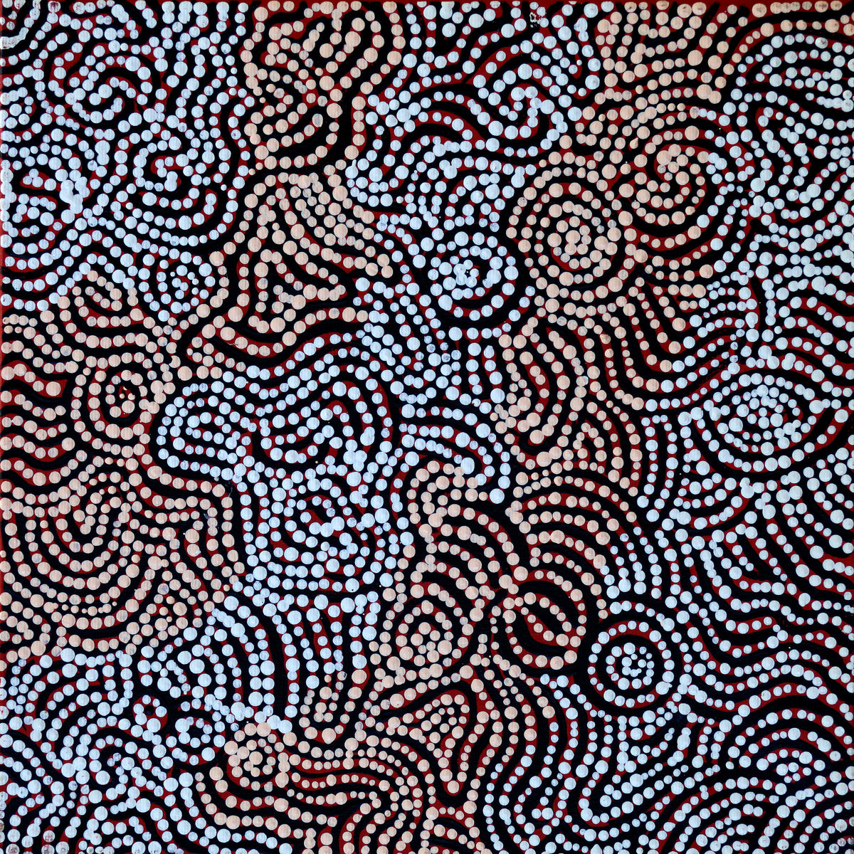 Aboriginal Art by Kirsty Anne Napanangka Brown ,Mina Mina Jukurrpa -  Ngalyipi, 30x30cm - ART ARK®