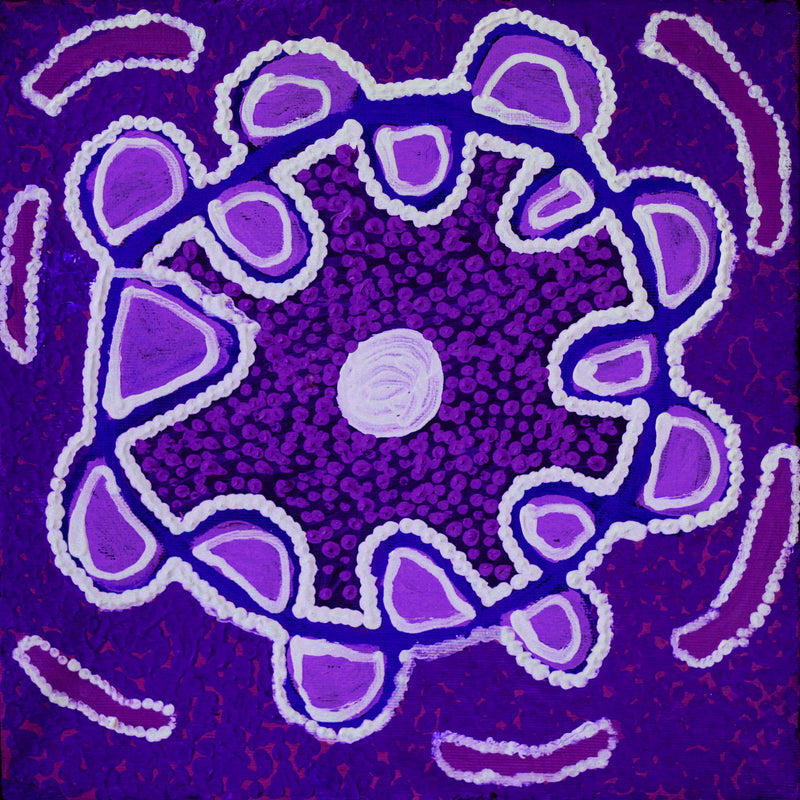 Aboriginal Artwork by Gayle Napangardi Gibson, Mina Mina Jukurrpa - Ngalyipi, 30x30cm