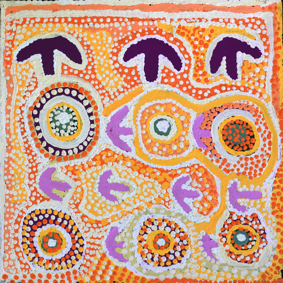 Aboriginal Artwork by Rosie Nangala Flemming, Ngapa Jukurrpa - Mikanji 30x30cm