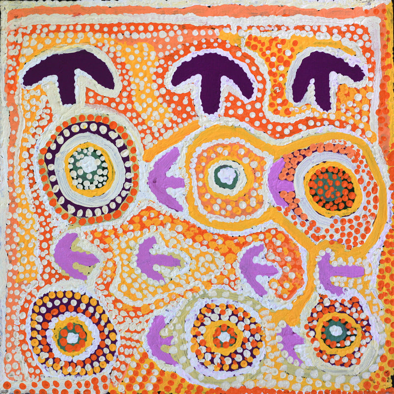Aboriginal Artwork by Rosie Nangala Flemming, Ngapa Jukurrpa - Mikanji 30x30cm