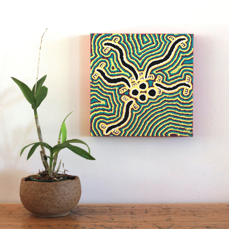 Aboriginal Artwork by Kylie Napangardi Williams, Brush-tailed Possum Dreaming - Yulumparani, 30x30cm