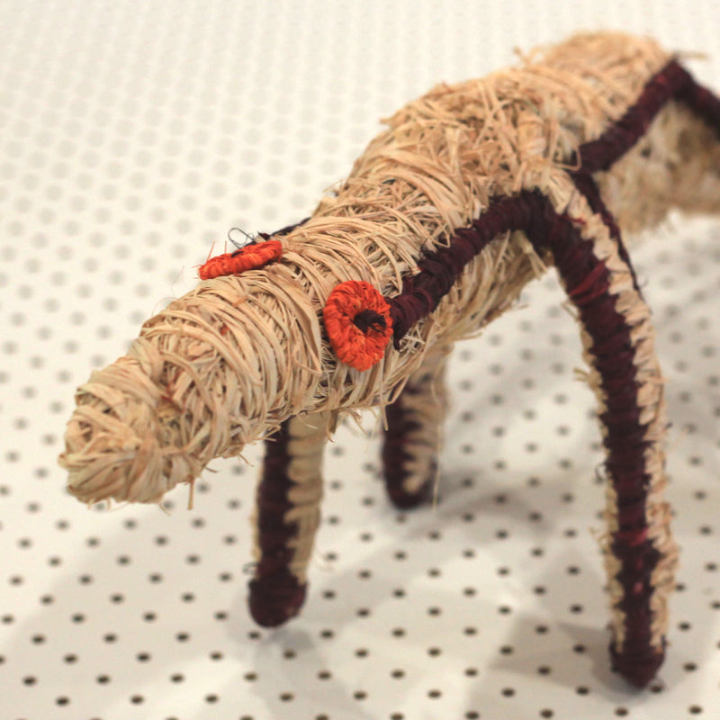 Aboriginal Artwork by Imitjala Pollard, Watarru - Tjanpi Tinka (goanna) Sculpture