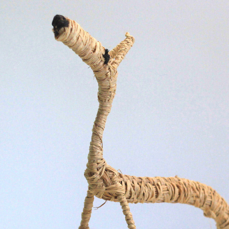 Aboriginal Artwork by Pollyanne Smith, Kaltjiti - Tjanpi Papa (dog) Sculpture