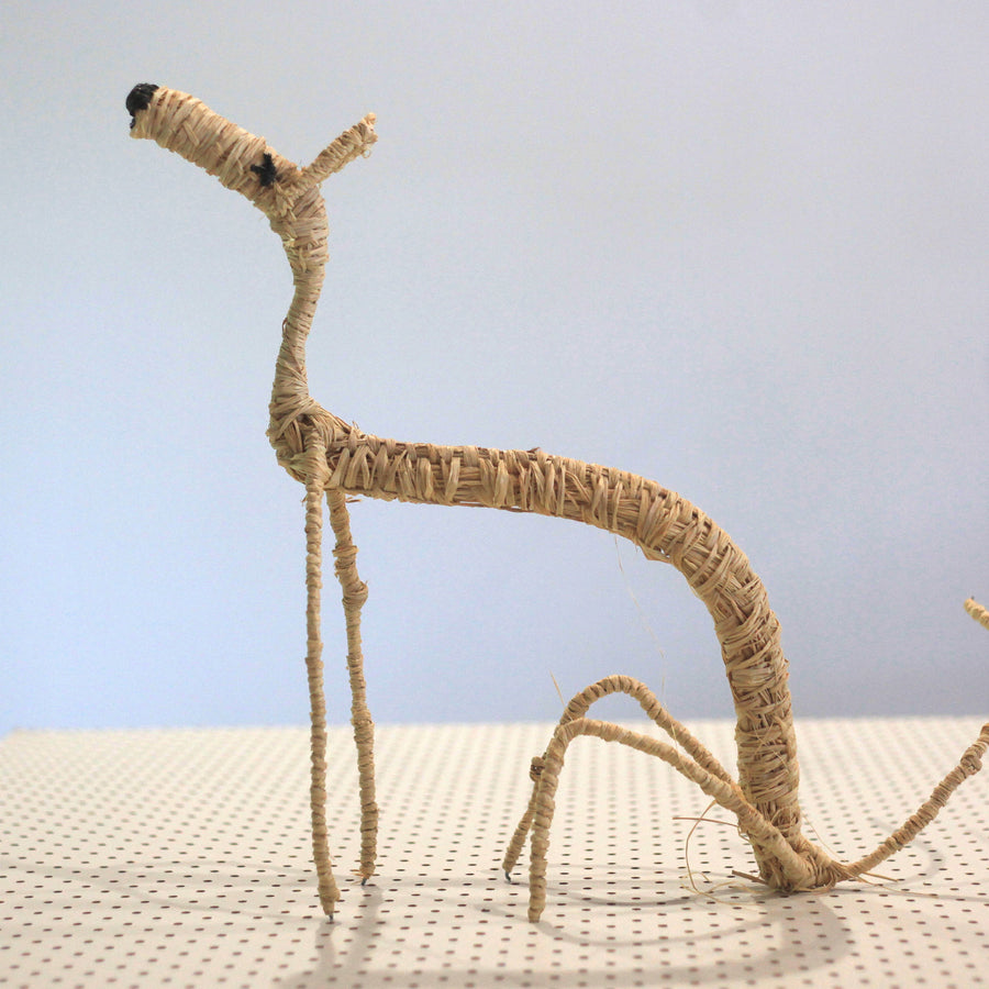 Aboriginal Artwork by Pollyanne Smith, Kaltjiti - Tjanpi Papa (dog) Sculpture