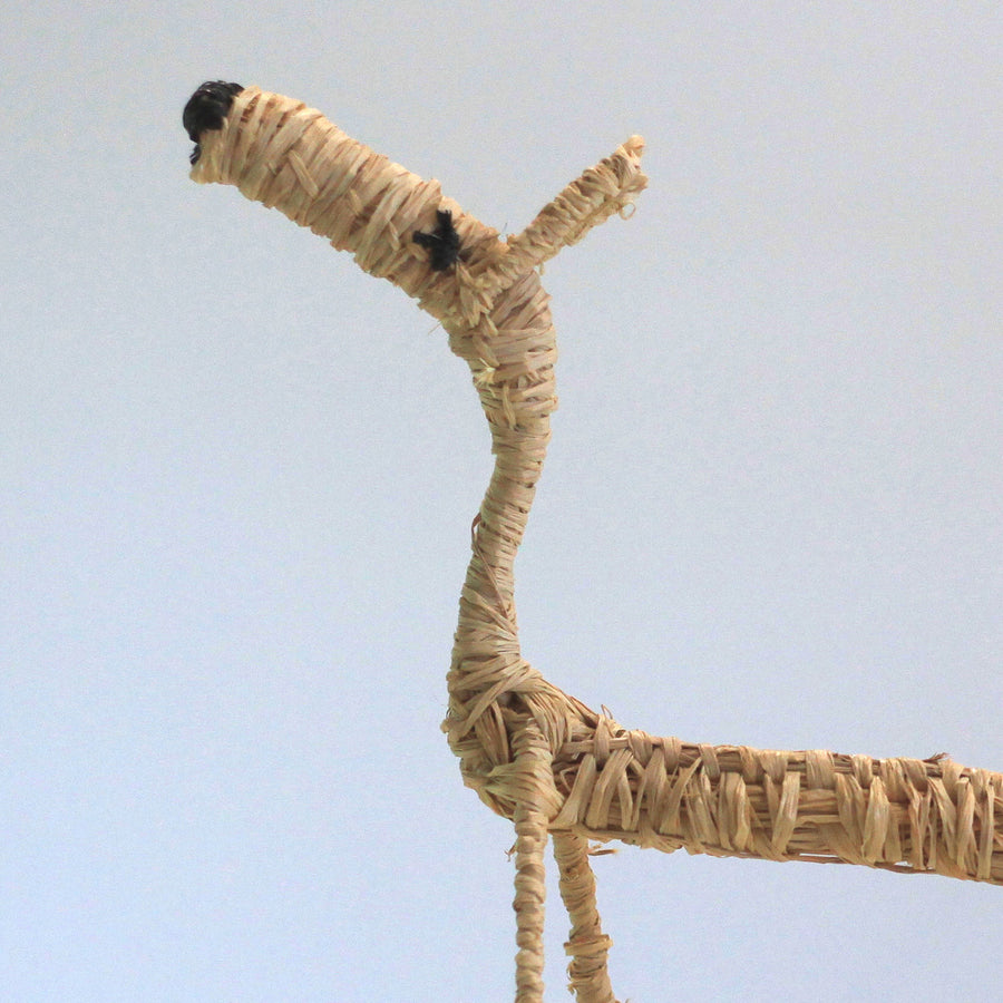 Aboriginal Artwork by Pollyanne Smith, Kaltjiti - Tjanpi Papa (dog) Sculpture
