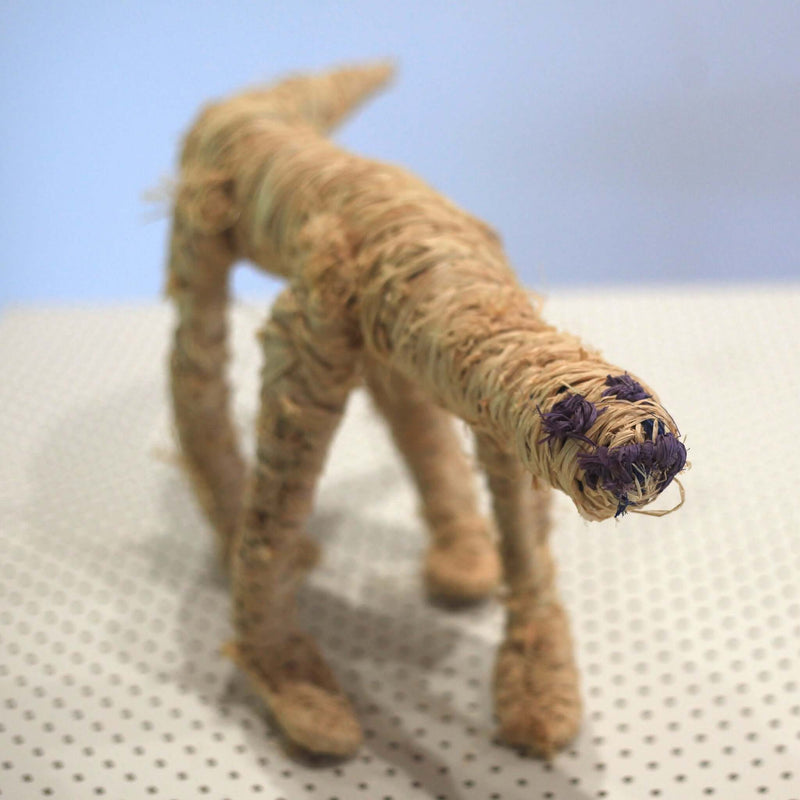 Aboriginal Artwork by Angkuna Kulyuru, Pukatja - Tjanpi Tinka (gonna) Sculpture