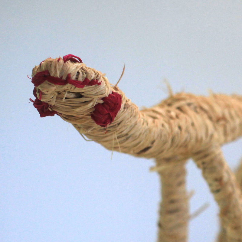 Aboriginal Artwork by Pollyanne Smith, Kaltjiti - Tjanpi Tinka (gonna) Sculpture