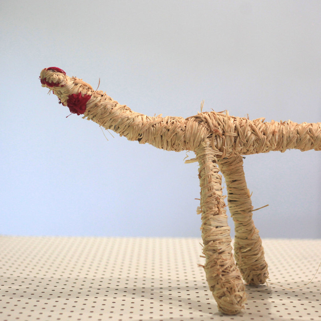 Aboriginal Artwork by Pollyanne Smith, Kaltjiti - Tjanpi Tinka (gonna) Sculpture