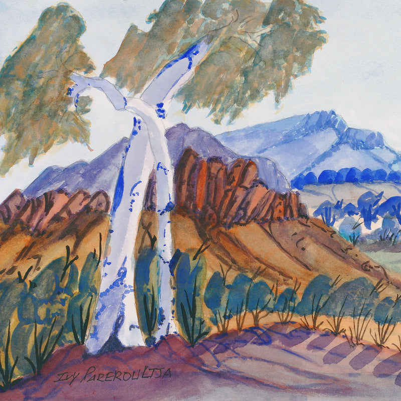 Aboriginal Artwork by Ivy Pareroultja, West MacDonnell Ranges - near Mt Sonder, 54x23.5cm