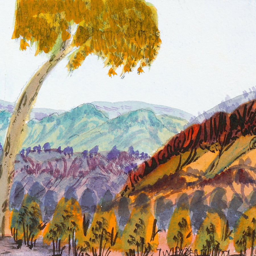 Aboriginal Artwork by Ivy Pareroultja, Heading towards Jay Creek, 55x16.5cm