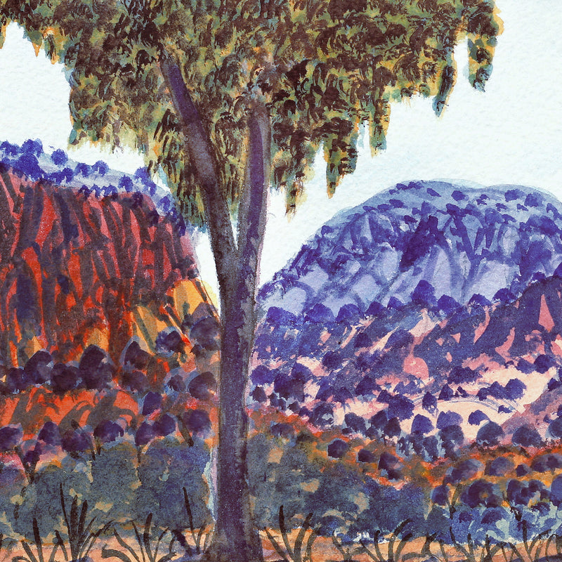 Aboriginal Art by Ivy Pareroultja, North-side of Petermann Ranges, 54x17.5cm - ART ARK®