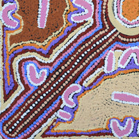 Aboriginal Artwork by Ivy Napangardi Poulson, Pikilyi Jukurrpa, 46x46cm