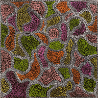 Aboriginal Artwork by Janie Napangardi Williams, Ngarlkirdi Jukurrpa (Witchetty Grub Dreaming), 40x40cm