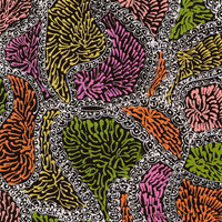 Aboriginal Artwork by Janie Napangardi Williams, Ngarlkirdi Jukurrpa (Witchetty Grub Dreaming), 40x40cm