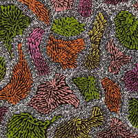 Aboriginal Artwork by Janie Napangardi Williams, Ngarlkirdi Jukurrpa (Witchetty Grub Dreaming), 40x40cm
