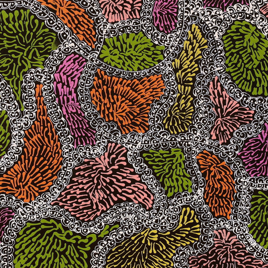 Aboriginal Artwork by Janie Napangardi Williams, Ngarlkirdi Jukurrpa (Witchetty Grub Dreaming), 40x40cm