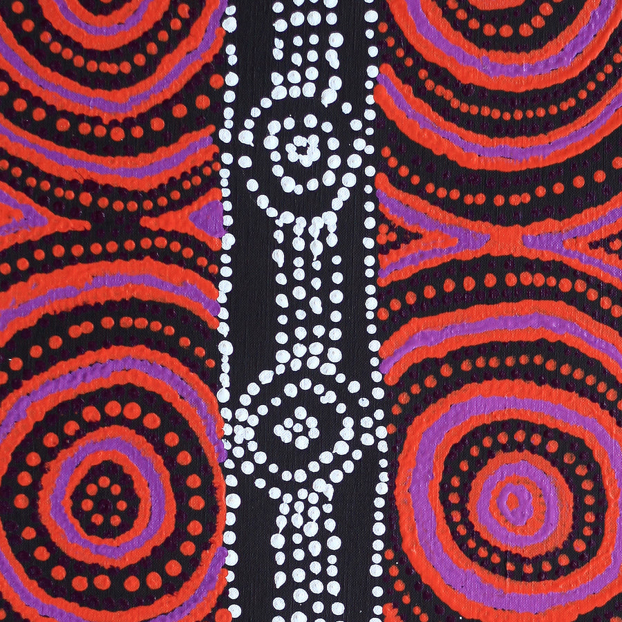 Aboriginal Artwork by Jamie Lee Nampijinpa Brown, Ngapa Jukurrpa (Water Dreaming) - Mikanji, 91x30cm