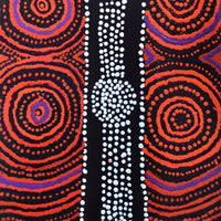 Aboriginal Artwork by Jamie Lee Nampijinpa Brown, Ngapa Jukurrpa (Water Dreaming) - Mikanji, 61x30cm