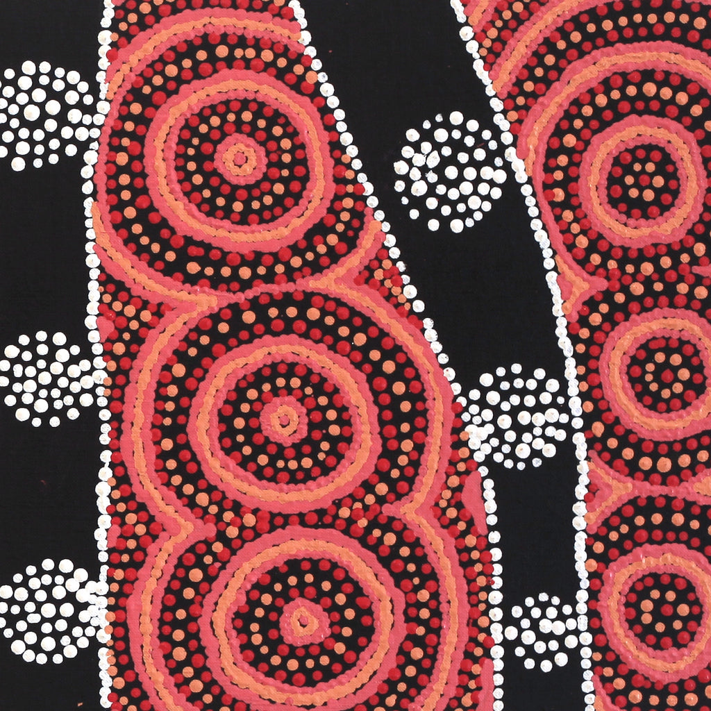 Aboriginal Artwork by Jamie Lee Nampijinpa Brown, Ngapa Jukurrpa (Water Dreaming) - Mikanji, 107x30cm