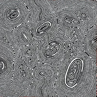 Aboriginal Artwork by Janelle Napurrurla Wilson, Janganpa Jukurrpa (Brush-tail Possum Dreaming) - Mawurrji, 61x61cm
