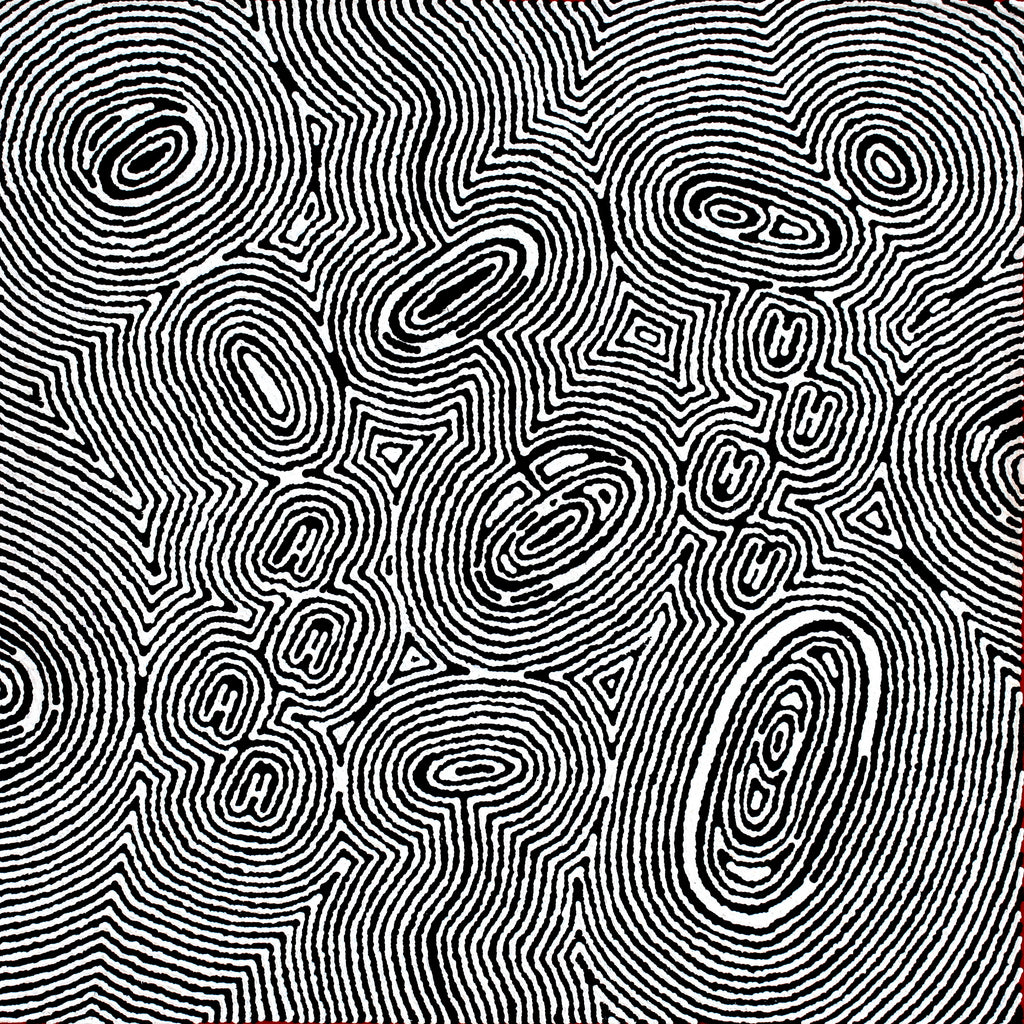 Aboriginal Art by Janelle Napurrurla Wilson, Janganpa Jukurrpa (Brush-tail Possum Dreaming) - Mawurrji, 61x61cm - ART ARK®