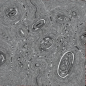 Aboriginal Art by Janelle Napurrurla Wilson, Janganpa Jukurrpa (Brush-tail Possum Dreaming) - Mawurrji, 61x61cm - ART ARK®