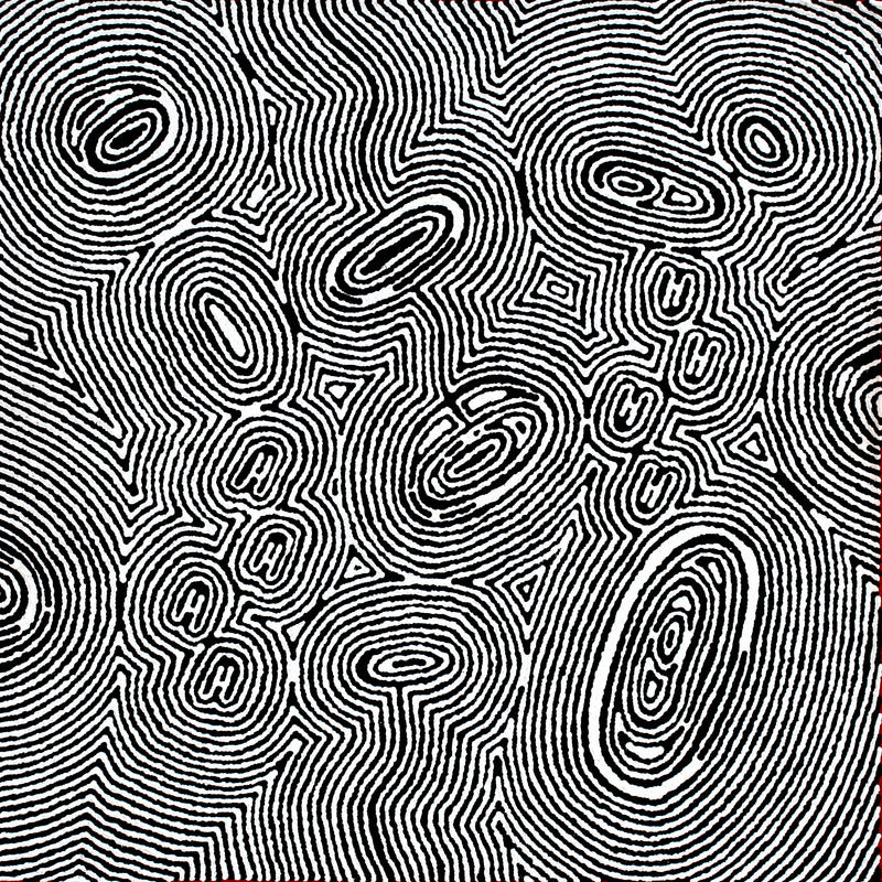 Aboriginal Artwork by Janelle Napurrurla Wilson, Janganpa Jukurrpa (Brush-tail Possum Dreaming) - Mawurrji, 61x61cm