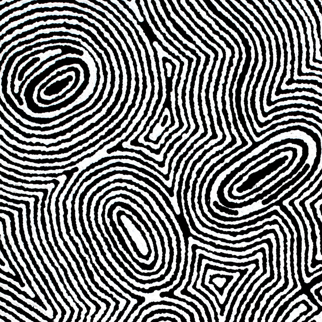 Aboriginal Artwork by Janelle Napurrurla Wilson, Janganpa Jukurrpa (Brush-tail Possum Dreaming) - Mawurrji, 61x61cm