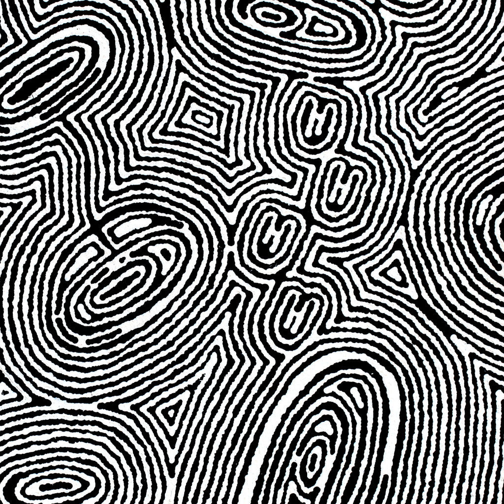 Aboriginal Artwork by Janelle Napurrurla Wilson, Janganpa Jukurrpa (Brush-tail Possum Dreaming) - Mawurrji, 61x61cm