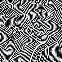 Aboriginal Artwork by Janelle Napurrurla Wilson, Janganpa Jukurrpa (Brush-tail Possum Dreaming) - Mawurrji, 61x61cm