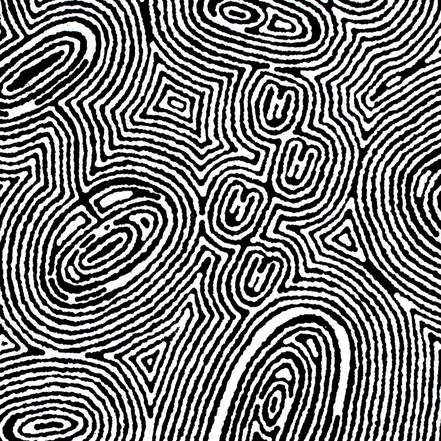 Aboriginal Artwork by Janelle Napurrurla Wilson, Janganpa Jukurrpa (Brush-tail Possum Dreaming) - Mawurrji, 61x61cm